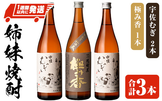 姉妹焼酎「極み香」「宇佐むぎ」詰合せ 25度 (合計2.16L・720ml×3本) 酒 お酒 麦焼酎 アルコール 飲料 常温 詰合せ 飲み比べ セット 四ツ谷酒造【107305900】【時枝酒店】