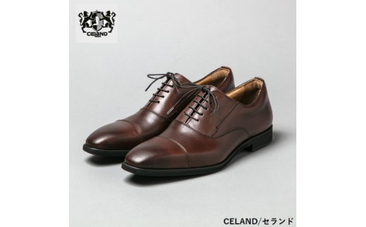 CELAND 牛革ラクチン軽量ビジネスシューズ 紐タイプ 紳士靴 (ストレートチップ)ダークブラウン CE1201 24.5cm 