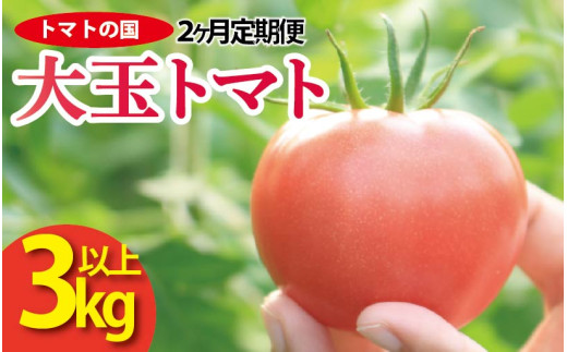 【 先行予約 】 トマト 大玉 3kg 定期便 2回 大玉トマト サラダ トマトの国 野菜 やさい トマト 薄皮 完熟 高糖度 果物 スイーツ ジュース パスタ スパゲティー ソース サラダ ドレッシング 鍋 サンドイッチ ハンバーガー ピザ カレー ギフト 贈答 プレゼント お取り寄せ グルメ 送料無料 徳島県 阿波市 1323243 - 徳島県阿波市