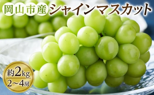 ぶどう 2025年 先行予約 シャイン マスカット 2～4房（約2kg） ブドウ 葡萄 岡山市産 国産 フルーツ 果物 ギフトタンポポ農園 778366 - 岡山県岡山市