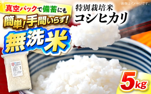 特別栽培米 コシヒカリ 真空パック 白米 （ 無洗米 ）5kg お米 こしひかり ご飯 コシヒカリ おこめ 三次市/小川モータース [APCH001]