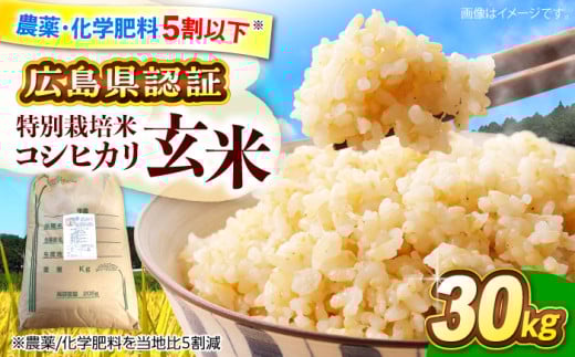 【先行予約】【9月中旬から順次発送】特別栽培米 コシヒカリ 玄米 30kg お米 こしひかり ご飯 コシヒカリ おこめ 三次市/小川モータース [APCH009] 1922169 - 広島県三次市