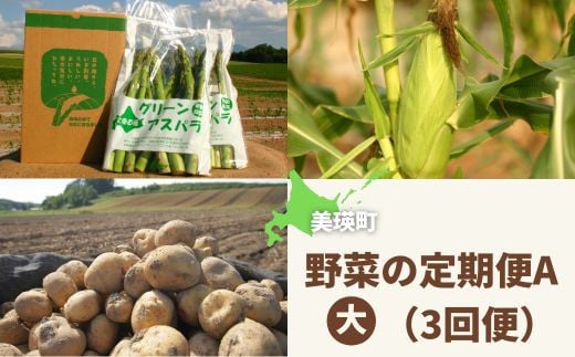 【令和７年産予約受付！】黒木農場　野菜の定期便A【大】（３回便）グリーンアスパラ（M～2Lサイズ）2kg、ほしつぶコーン10本＆雪の妖精10本、じゃがいも3種セット（男爵、キタアカリ（M～2L混）、インカのめざめ（2S以上混））各3kg[056-04] 1982781 - 北海道美瑛町