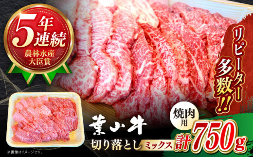 葉山牛 焼肉用 切り落とし ミックス ( 約750g×1パック ロース モモ カルビ 等 ) 国産 和牛 牛肉 切り落とし 黒毛和牛 葉山牛 焼肉 やきにく 食べ比べ A5 牛肉 焼肉セット 牛肉 葉山町【葉山牛ステーキレストラン 角車】 [ASBD002]
