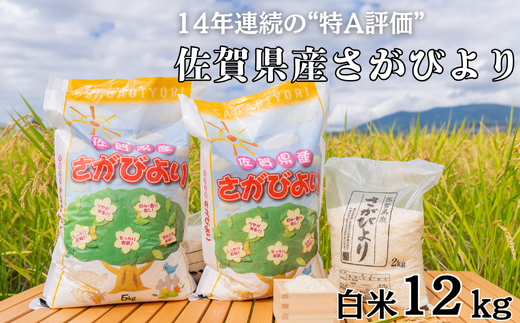 令和6年 佐賀県産さがびより 白米12kg：B215-009