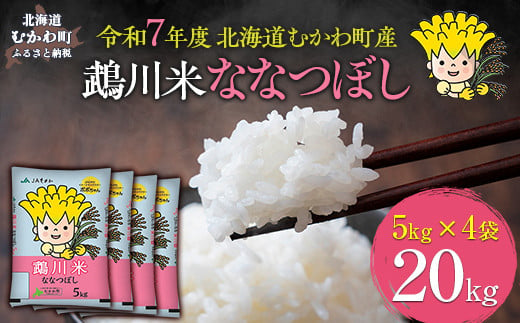 （精米20kg）鵡川米ななつぼし 令和7年産 【 ふるさと納税 人気 おすすめ ランキング 米 コメ こめ お米 ななつぼし 20kg ご飯 白米 精米 国産 ごはん 白飯 北海道 むかわ町 送料無料 】 MKWAI004 1980398 - 北海道むかわ町