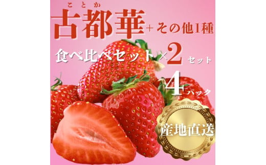 【数量限定】 奈良ブランドいちご２種（古都華と他１種）食べ比べセット×２セット （古都華２パック＋別品種２パックの計４パック） (他１種は、かおりの・珠姫・奈乃華・ならあかり・あすかルビーのいずれか) イチゴ いちご 苺 めいとく農園 奈良県 奈良市 奈良 14-034 1982320 - 奈良県奈良市