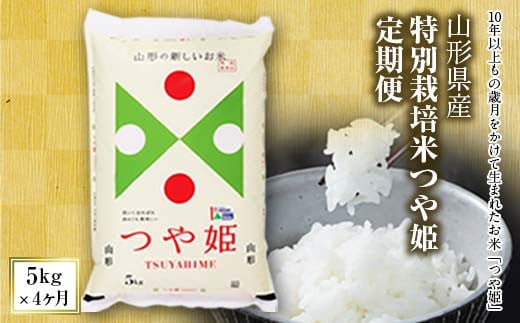 山形県産特別栽培米つや姫定期便4回(つや姫5kg×4ヶ月) つやひめ 山形 定期便 米 精米 白米 弁当 ごはん ご飯 コメ おにぎり 送料無料 プレゼント ギフト ふるさと納税  山形県 F2Y-4016 262104 - 山形県山形県庁