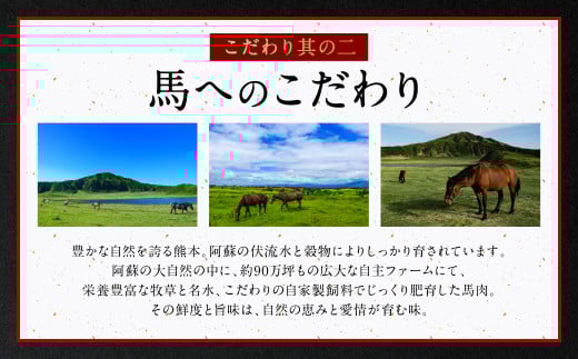 こだわり其の二：馬へのこだわり