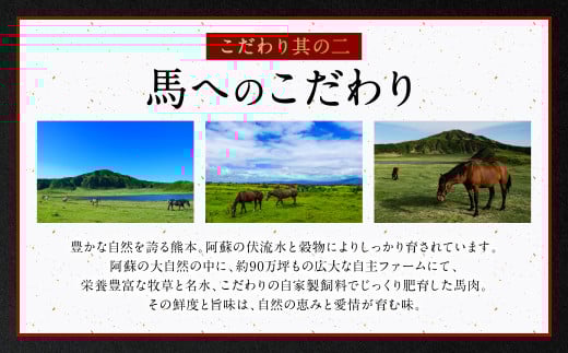 こだわり其の二：馬へのこだわり