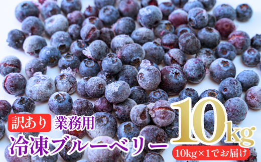 [訳あり] 山口県宇部産 お得サイズ!業務用冷凍ブルーベリー 10kg | 冷凍ブルーベリー 冷凍 果物 フルーツ 美容 スムージー 10kg 10キロ ブルーベリー 完熟 急速 新鮮 アントシアニン 目 抗酸化 肌 老化防止 血流 冷え性 脳卒中 効果 健康 栄養 甘み 酸味 バランス 食べやすい おやつ デザート フルーツ 果実 くだもの 訳あり 山口県 宇部市