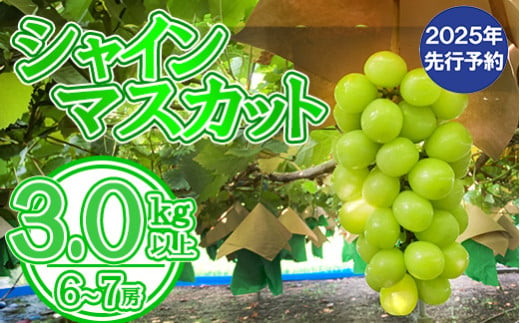 【数量限定】【2025年発送分 先行予約】シャインマスカット（３ｋｇ以上・６～７房）　シャイン マスカット ぶどう ブドウ 葡萄 フルーツ 果物 くだもの 山梨 やまなし 富士川町
