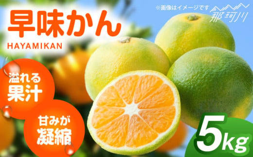 【2025年9月以降発送】産地直送！福岡県オリジナル品種 みかん 「早味かん」＜一般社団法人地域商社ふるさぽ＞那珂川市 [GBX053]