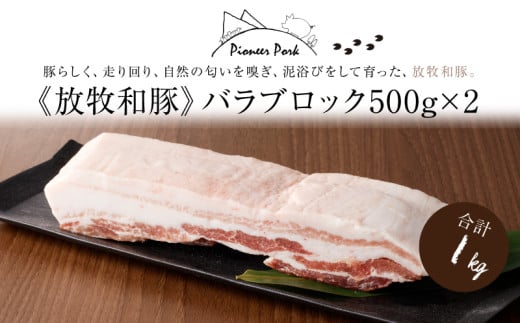 ≪放牧和豚≫ バラブロック 500g×2  【合計1kg】 K26_0030_2
