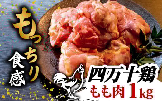銘柄鶏 四万十鶏 もも肉 1kg ( 500g × 2パック ) | 切身 カットでかんたん時短セット カット済み 鳥肉 とりにく 鶏もも 冷凍 国産 ブランド 唐揚げ 煮物 鍋 チキン 南蛮 高知県 須崎市 TM042 2089602 - 高知県須崎市