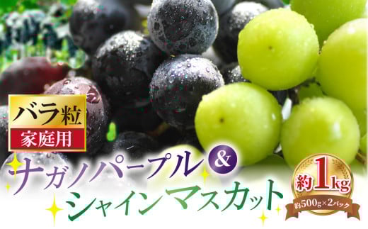 【先行予約】【家庭用】松本市産 シャインマスカット、ナガノパープル バラ粒2パック 約1kg (500g×2パック)｜ ふるさと納税 長野県 松本市 シャインマスカット  ナガノパープル ぶどう ブドウ 葡萄 くだもの 果物 フルーツ 1545267 - 長野県松本市