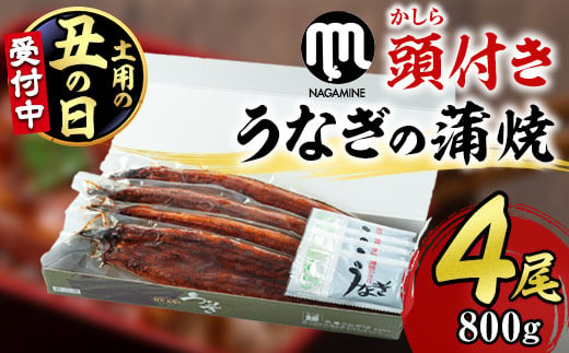 【30605-2507】＜丑の日までにお届け！＞大隅産うなぎの蒲焼＜計約800g(約200g×4尾＞ うなぎ 高級 ウナギ 鰻 国産 蒲焼 蒲焼き たれ 鹿児島 【永峯うなぎ店】