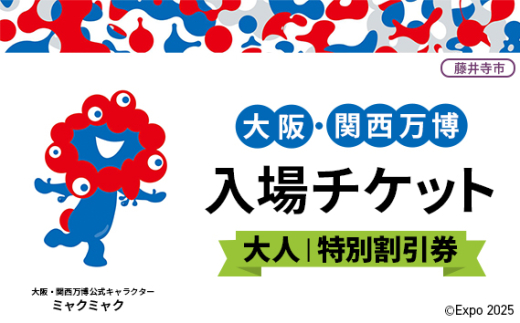 No.378 2025年日本国際博覧会入場チケット 特別割引券（大人）【藤井寺市返礼品】 ／ 万博 EXPO 2025 大阪万博 関西万博 夢洲 入場券 大阪府 1984549 - 大阪府藤井寺市