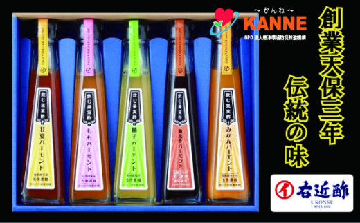 [セット]飲む果実酢120ml 5本セット(春花)(甘夏・もも・ゆず・梅黒酢・みかん)