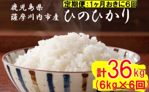 【定期便1ケ月おきに6回】薩摩川内市産ひのひかり 合計36kg (6㎏×6回) JS-316 米 精米 五つ星お米マイスター 1983317 - 鹿児島県薩摩川内市