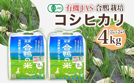 570 コシヒカリ 4kg ファームランドさいとう 1982252 - 茨城県茨城町