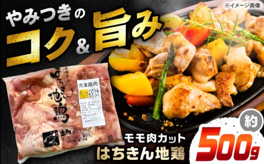 高知の地鶏はちきん地鶏モモ肉カット 約500g×1 【合同会社土佐あぐりーど】 [ATBO020]