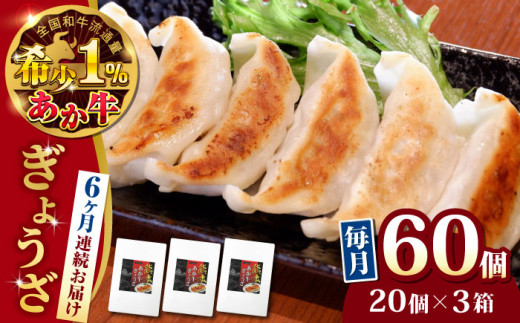 【全6回定期便】熊本県産 あか牛 ぎょうざ 計60個 ( 20個 × 3箱 ) 熊本和牛【有限会社 三協畜産】[YCG077] 1083715 - 熊本県山都町