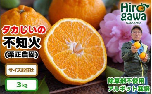 タカじいの不知火 しらぬい 3kg ＜紀州有田産＞ / デコポン 完熟 柑橘 果物 フルーツ 和歌山 紀州 有田【krs010-r-3】 1983915 - 和歌山県広川町 | 11,000円