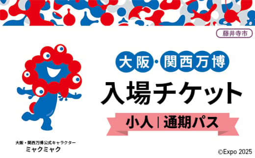 No.381 2025年日本国際博覧会入場チケット 通期パス（小人）【藤井寺市返礼品】 ／ 万博 EXPO 2025 大阪万博 関西万博 夢洲 入場券 大阪府 1984551 - 大阪府藤井寺市