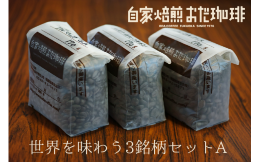 世界を味わう 3銘柄セットA 510g 世界各地の銘柄 コーヒー