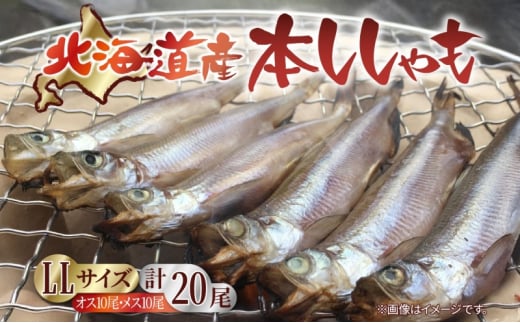 北海道日高町のふるさと納税 北海道産 阿部水産 ししゃも LL 20尾セット 本ししゃも 雄 雌 オス メス 魚卵 卵 たまご タマゴ子持ち 北海道土産 季節限定 ほくほく 子魚 無添加 クール便 冷凍 送料無料 北海道 日高町