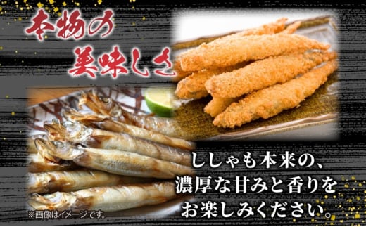 北海道日高町のふるさと納税 北海道産 阿部水産 ししゃも LL 20尾セット 本ししゃも 雄 雌 オス メス 魚卵 卵 たまご タマゴ子持ち 北海道土産 季節限定 ほくほく 子魚 無添加 クール便 冷凍 送料無料 北海道 日高町