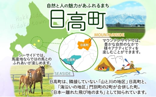 北海道日高町のふるさと納税 北海道産 阿部水産 ししゃも LL 20尾セット 本ししゃも 雄 雌 オス メス 魚卵 卵 たまご タマゴ子持ち 北海道土産 季節限定 ほくほく 子魚 無添加 クール便 冷凍 送料無料 北海道 日高町