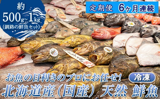 【定期便 ６ケ月連続】 お魚の目利きのプロにお任せ！北海道産（国産） 天然 鮮魚 約500g～1kg（釧路の鮮魚セット） 産地直送 冷凍 冷凍便 刺身 セット 鮮魚セット 鮮魚ボックス 北海道 釧路町 釧路超 特産品