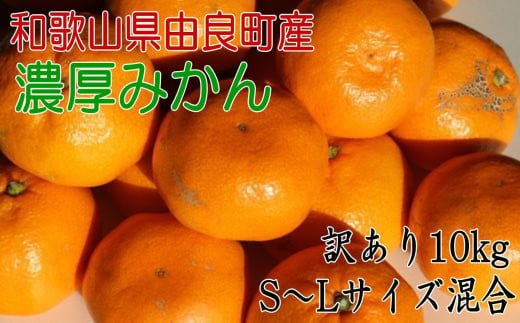 【訳あり・ご家庭用】 和歌山由良町産のみかん 約10kg サイズ混合 ［TM201］ 1984141 - 和歌山県高野町