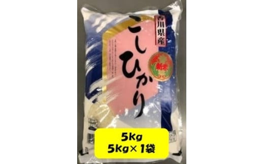 令和6年産 「コシヒカリ」 5kg(5kg×1袋) JA香川