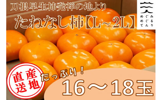 ＜令和7年10月以降発送予定＞刀根早生柿発祥の地※より「たねなし柿」L~2L(1段箱16～18玉)【1434467】