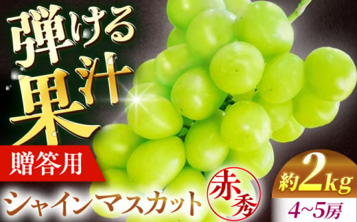 【先行予約】【9月中旬から9月末に順次発送】 ぶどう シャインマスカット 2kg（4房から5房 赤秀） 露地栽培 シャインマスカット マスカット 果物 フルーツ くだもの 葡萄 三次市/西田ぶどう園 [APCM003]