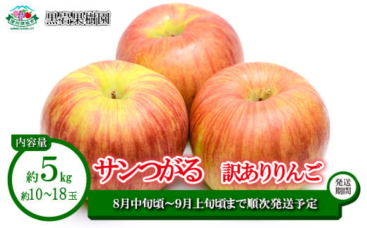 [No.5657-2601]サンつがる 訳ありりんご 約5kg (約10～18玉)《黒岩果樹園》■2025年発送■※8月中旬頃～9月上旬頃まで順次発送予定 1060144 - 長野県須坂市