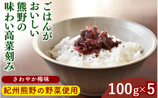 ごはんがおいしい！熊野の味わい高菜刻み 【さわやか梅味】 100g×5袋セット / 梅 うめ 高菜漬け 田辺市 漬物 つけもの 健康 和歌山 醤油 野菜 ご飯のおとも【kms024】 1998974 - 和歌山県田辺市