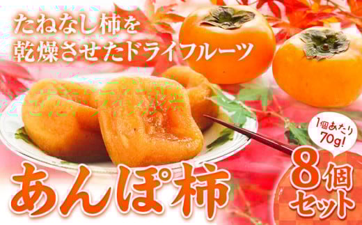 和歌山県産 あんぽ柿 70g×8個セット 紀の川市厳選館 《30日以内に出荷予定(土日祝除く)》 和歌山県 紀の川市 種なし柿 干し柿 ドライフルーツ カキ かき ジューシー フルーツ 和菓子