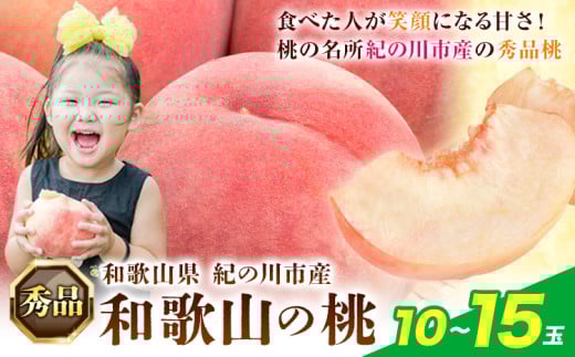 桃 もも モモ【秀品】先行予約 和歌山 桃 10～15玉入 ときわオンライン《2025年6月下旬～9月中旬頃出荷》和歌山県 紀の川市 フルーツ 果物 桃 お中元 贈り物 ギフト産地直送 農家直送