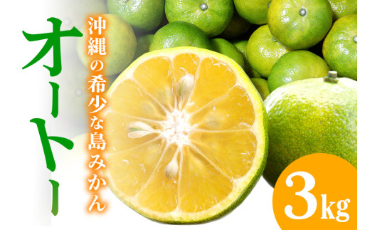 【12月発送開始】やんばる国頭村産  希少な島みかん「オートー」お試し３kg
