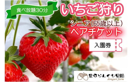 いちご狩りチケット 豊平どんぐり農園 65歳以上ペア シニア2名分 30分食べ放題 広島県北広島町_TO005_011