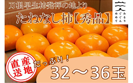 ＜R7年10月以降発送＞刀根早生柿発祥の地より「たねなし柿」L～2L(32～36玉)＜秀品＞【1138161】