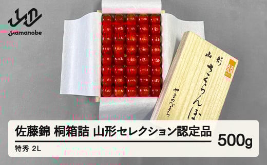 《先行予約》2025年 山形県産 さくらんぼ 佐藤錦 桐箱詰 500g 特秀 2L 山形セレクション認定品 サクランボ フルーツ F21A-334 815643 - 山形県山辺町