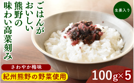 ごはんがおいしい！熊野の味わい高菜刻み 【さわやか梅味＆生姜入り】 100g×5袋セット / 梅 うめ 高菜漬け しょうが 田辺市 漬物 つけもの 健康 和歌山 醤油 野菜 ご飯のおとも【kms025】 1998975 - 和歌山県田辺市