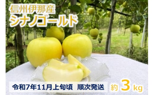 【010-17】令和7年11月上旬発送　信州のシナノゴールド　3キロ！　信濃三兄弟の一つ（りんご・リンゴ・林檎） 855765 - 長野県伊那市