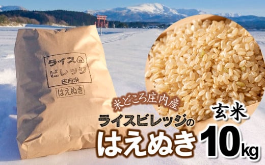 令和6年産 米どころ庄内産 ライスビレッジのはえぬき 玄米10kg