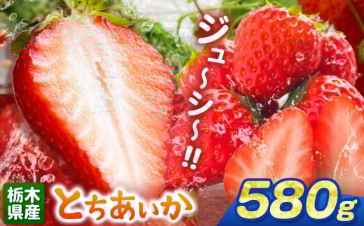 とちあいか 580g | 果物 くだもの フルーツ 野菜 やさい ヤサイ 苺 イチゴ いちご とちあいか 新鮮 甘い 数量 限定 美味しい 果物 共通返礼品 フルーツ デザート 栃木県 那珂川町 送料無料